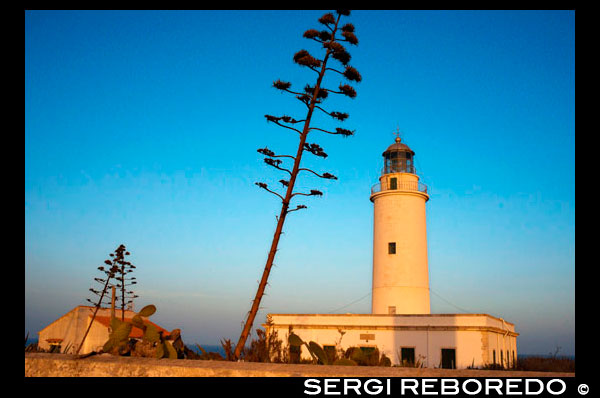 Sunset. Lighthouse, Faro de la Mola, Formentera, Pityuses, Balearic Islands, Spain, Europe Spain; Formentera; island; lighthouse; La Mola; Mola; balearic; sunset; view; views; area; baleares; balearic; europe; formentera; horizontal; horizontales; horizontals; islands; islas; la; lighthouse; mediterranean; mediterraneo; mola; sea; Baleares; atrraction; destination; Europe; European; holiday; travel; islands; mediterranean; photos; place; spanish; sun; tourism; touristic; vacation; view; background; baleares; balearic; beach; beautiful; blue; coast; coastline; destination; europe; formentera; headlight; holiday; ibiza; isla; island; islands; islas; la; landmark; landscape; light; lighthouse; locations; mediterranean; mola; nature; ocean; outdoor; paradise; perspective; pitiusas; places; road; rock; sea; seascape; sky; spain; spanish; summer; tourism; touristic; travel; vacation; water; way; white; worldBalearics; beautiful; beauty; paradise; fun; happy; coastal; paradisiac; popular