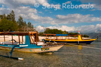 Unas barcas para la práctica del submarinismo descansan en la arena de la playa de la zona Oeste de la isla, cerca del embarcadero del Bounty Resort. Gili Meno.  