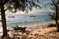 Unes barques a la vora de la platja de la zona Est de la illa, on s'aglutinen la majoria d'hotels. Gili Meno.