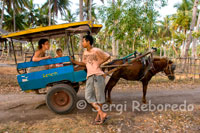 En la isla de Gili Meno no existe el transporte motorizado y los únicos medios para desplazarse de un lado a otro de la isla son la bicicleta y los carros tirados por caballos. Es habitual realizar un tour por la isla en estos carromatos.