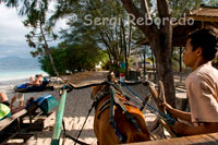 On the island of Gili Meno no motorized transport and the only means to move from side to side of the island are cycling and horse-drawn carts. It is customary to tour the island in these wagons.