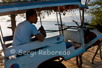 En la isla de Gili Meno no existe el transporte motorizado y los únicos medios para desplazarse de un lado a otro de la isla son la bicicleta y los carros tirados por caballos. Es habitual realizar un tour por la isla en estos carromatos.