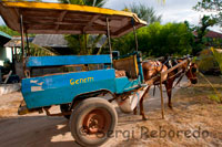 En la isla de Gili Meno no existe el transporte motorizado y los únicos medios para desplazarse de un lado a otro de la isla son la bicicleta y los carros tirados por caballos. Es habitual realizar un tour por la isla en estos carromatos. 