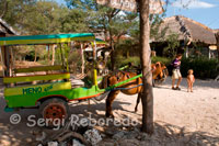 En la isla de Gili Meno no existe el transporte motorizado y los únicos medios para desplazarse de un lado a otro de la isla son la bicicleta y los carros tirados por caballos. Es habitual realizar un tour por la isla en estos carromatos.