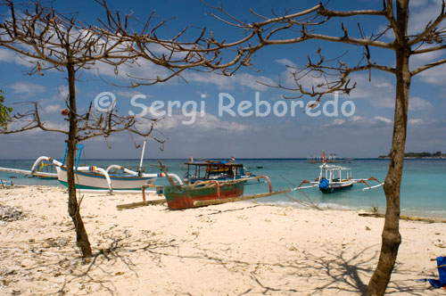 Unes barques descansen a la sorra de la platja de la zona Oest de l'illa, la més desabitada turísticament parlant. Gili Meno. Amb una població d'al voltant de 300 habitants, l'interior de l'illa és un gran palmerar envoltat de pastura que les cabres s'encarreguen de portar en ordre.