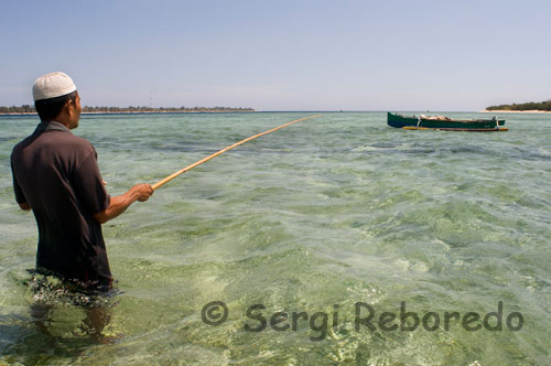 Los habitantes de Gili Meno suelen dedicarse en su mayoría a la pesca y la agricultura, aunque el sector turismo también está en auge.  Un pescador de la zona. Gili Meno. Si aún así el plan no os convence, tal vez sean Gili Meno o Gili Air vuestra mejor opción. Todavía más pequeñas que la primera, en ellas el número de locales y servicios disminuye proporcionalmente, y es por eso que la mayor parte de aquellos que deciden esconderse en sus playas desérticas suelen ser parejas en busca de intimidad y silencio.