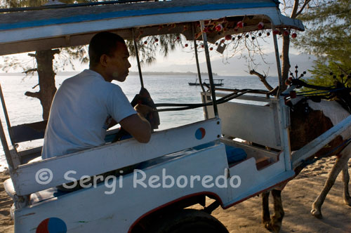 A l'illa de Gili Meno no existeix el transport motoritzat i els únics mitjans per anar d'un costat a un altre de l'illa són la bicicleta i els carros tirats per cavalls. És habitual fer un tour per l'illa en aquests carros. Potser és necessari esmentar que des de 1891 Trawangan va ser una illa presó, i el va seguir sent fins als anys '70, on el govern va afavorir als reclusos que havien complert condemna allà amb parcel · les de terreny per al cultiu de cocos. Avui en dia la tradició continua, la diferència és que en l'actualitat els locals recol · lecten als "cocos blanquets", terme local per referir-se als occidentals.