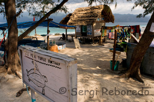 Santuari de les tortugues de Bolong. En aquest lloc recullen els ous de tortugues per protegir-los dels depredadors i de caçadors furtius fins que aquestes tenen vuit mesos, moment en què les deixen en llibertat. Gili Meno. La illes Gili són tres petites illes situada al nord-est de Lombok. Mapa Illa Gili Trawangan, Indonèsia Tot aquell que tingui la sort de visitar-les, segurament es quedarà més del previst, ja sigui pels seus esculls coral · lins on es poden veure alguns taurons i tortugues, o per la serenitat que dóna l'absència de trànsit motoritzat, o per les llargues platges de sorra blanca amb bungalows davant. Són increïbles. Nosaltres ens instal · lem a la tercera, Gili Trawangan, la més gran (1 quilòmetre d'ample per 2 de llarg) i amb més ambient. Tot i això, vam fer un viatge en vaixell a la resta: Gili Air, la primera, i Gili Meno, la del mig i més petita. Recomanem aquestes illes: Gili Meno i Gili Air a la gent que li vingui de gust escapar de les grans masses, trànsit i paisatge urbà. Les gilis et ofrezen tot el contrari. Si el que busques és tranquil · litat de dia: platja, snorkel, passejades en bicicleta (pots llogar dirariamente per unes 35.000 o 40.000), excursions en caiac ... Gili Trawangan és la que té més turisme, és l'illa de la "festa" tot i que igualment entranyable i sense cap tipus de vehicle de motor, estan prohibits. L'única manera de moure és caminant amb carros de cavall i bicicletes. Recomanem no agafar els carros de cavalls ja que els tenen molt esclavitzats.