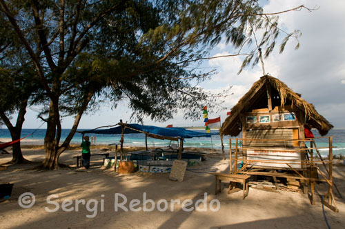 Santuario de las tortugas de Bolong. En este lugar recolectan los huevos de tortugas para protegerlos de los predadores y de cazadores furtivos hasta que estas tienen ocho meses, momento en el que las dejan en libertad. Gili Meno. Si te apetece algo másmovidito, ambiente de noche: xiringuitos con musica y ambiente donde conocer gente y tomar unas copas, entonces Gili Trawangan es perfecta. Si te sobra la noche, entonces recomendamos Gili Air y Gili Meno, o en la costa de la isla Gili Trawangan donde no hay bares, un 90% de hoteles y bares están en la misma costa. Desde cualquier isla puedes contratar excursiones en las que recorreras los sitios claves de las islas para hacer esnorkel. Se trata de barcos de madera con motor con capacidad de unas 20 personas. Mientras un local conduce la barca, el otro hace de guia en las paradas de snorkel (es de gran ayuda sobretodo en las zonas donde hay tortugas). El tour es muy barato y vale la pena, son unas 90.000 rupias indonesias. Las puestas de sol son muy bonitas desde cualquier isla, y las vistas de las dos grandes islas, Lombok al oeste y Bali al este, con sus volcanes son increïbles.