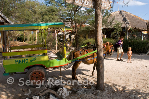 En la isla de Gili Meno no existe el transporte motorizado y los únicos medios para desplazarse de un lado a otro de la isla son la bicicleta y los carros tirados por caballos. Es habitual realizar un tour por la isla en estos carromatos. Las islas Gili son conocidas por su rica vida marina y su mundo subacuático. Entre Bali y Lombok se encuentran el Océano Índico y Mar de Java y eso os proporciona la oportunidad de ver especies y corales de ambos mares. Gili Air tiene varios centros de buceo.