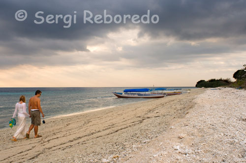 Una parella passeja per la sorra de la platja de la zona Oest de l'illa, prop de l'embarcador del Bounty Resort. Gili Meno. Hi ha més de 3.500 espècies marines vivint en els esculls de Indonèsia. En comparació amb la Gran barrera de corall a Austràlia (1.500) i el Mar Roig (600), el 25% d'esculls del món estan a Indonèsia. Les seves moltes parets, plataformes i esquerdes al voltant de les Illes Gili reflecteixen un bon exemple del que Indonèsia ha d'oferir. Descobriu i deixeu-vos fascinar per la gran varietat de tortugues, taurons puntes blanques d'escull, calamars, Morenes, Peixos àngel, Peixos pipa, pagres, Mantes, Ratlles àguiles, i més. Tots els nostres punts d'immersió estan situats entre 10 i 25 minuts en vaixell des del centre de busseig. Això vol dir que si vostè vol sortir a bussejar passarà més temps sota l'aigua que al vaixell. Els vaixells de Trawangan Dive, surten directament des de la platja davant del centre de busseig i torna al mateix centre després de les immersions, és fàcil, ràpid i simple. Al voltant de les Illes Gili (Gili Air, Gili Meno, Gili Trawangan) es troben més de 20 punts d'immersió més que sempre hi ha nous esculls sent explorats.