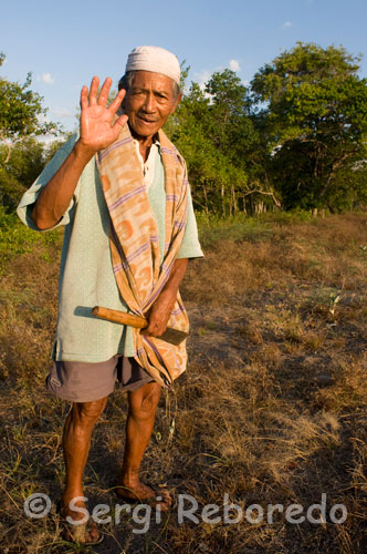 Los habitantes de Gili Meno suelen dedicarse en su mayoría a la pesca y la agricultura, aunque el sector turismo también está en auge.  Un campesino de la zona. Gili Meno. HALIK / DEEP HALIK  Halik está situado al noroeste de Trawangan; comienza en con una bajada escarpada a 5m y termina en una serie de cañones en las partes más profundas. Este sitio es perfecto para inmersiones de flujo o multinivel. Se encuentran hermosas formaciones de Coral duro, con Peces león, Fusileros, Peces estandarte, Morenas, Meros de arrecife, Peces loro de cabeza jorobada, tortugas de mar verde, las tortugas Carey están literalmente por todos lados. La parte más profunda del arrecife Halik, es para buceadores más experimentados, aquí se pueden encontrar hermosos corales blandos, muchas especies de Meros, peces murciélago, peces trompeta, Pulpos, Puntas blancas, Puntas negras de arrecife, Rayas águila, y de vez en cuando se pueden ver incluso Mantas.