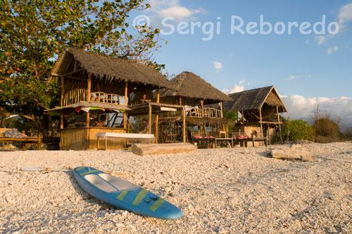 En el noroeste de la isla se encuentra el Café Diana, el mejor lugar donde ver las magnificas puestas de sol mientras se saborea un cóctel o un sabroso pancake de coco. Gili Meno. DEEP TURBO  Otro punto de inmersión para buceadores experimentados, Deep Turbo tiene un fondo arenoso entre varios montículos de cañones de coral. La profundidad máxima es 32 metros y la inmersión promedio es de 25 metros. Con cañones y montículos de diferentes tamaños cubiertos de corales blandos y duros. Abanicos enormes de coral, y algunas otras formaciones le fascinaran de principio a final. Se pueden ver Barracudas, atunes, peces ballesta, pargos, rayas, además de anguilas en los fondos arenosos. A veces se pueden encontrar algún tiburón leopardo, además de tiburones de puntas blancas, puntas negras de arrecife. Deep Turbo es una inmersión muy interesante ya que podrá disfrutar tanto del arrecife como de la vida marina. 