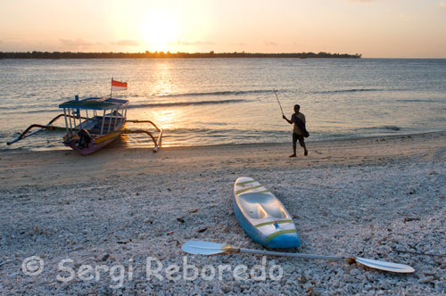 Unes barques descansen a la sorra de la platja de la zona Oest de l'illa, prop de l'embarcador del Bounty Resort. Gili Meno. TAKAT Malang Aquest punt es troba al nord de les tres illes, amb una profunditat màxima de 40 metres i una profunditat mitjana per a la immersió de 25 metres. Aquest és un excel · lent punt d'immersió perquè ofereix el millor de Simons reef més la topografia de Deep turbo. Takat Malang està formada per gran col · lecció de caps de corall (Takats) arreglat en un llit inclinada, que comença amb una superfície plana als 15m. Hi ha aproximadament uns 10 Takats grans, com si algú ha estat treballant sobre l'escull un cisell gegant, cada Takat està esculpit amb, afloraments i canons per on es pot nedar. Aquest punt d'immersió li proveirà a vostè de la mateixa excel · lent diversitat trobada en l'escull Simon. Els Takats estan coberts de varietat de corals tant tous com durs que creixen en puntes rocoses incloent ventalls de gorgònies i taules de corall. Els canals entre els Takats són bastant interessants perquè es poden trobar molta varietat de peixos d'escull i una fascinant Anar arribaografía. La vida marina és molt similar a la que trobem en Simon Reef, es poden trobar Meros, llavis dolços, peixos lloros, peixos àngel, peixos ballesta, sorells, tonyines, grans barracudes, morenes, tortugues de mar verd i taurons d'escull.