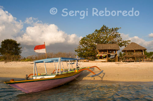 Al nord-oest de l'illa es troba el Cafè Diana, el millor lloc on veure les magnífiques postes de sol mentre s'assaboreix un còctel o un saborós pancake de coco. Gili Meno. L'illa Gili és una destinació popular a Indonèsia. Les Illes Gili ubicades al nord-oest de Lombok, són tres petites illes, envoltades de corall, Gili Air, Gili Meno i Gili Trawangan, cadascuna amb magnífiques platges de sorra blanca, aigües cristal · lines, esculls de coral, peixos de colors brillants i el millor snorkeling. Els visitants, especialment els joves europeus se senten atrets pels plaers simples de sol, busseig, belles platges, i la socialització. L'absència de cotxes, motocicletes i venedors ambulants afegeix en gran mesura a l'oci de romandre en el Gilis. "Illes Gili" no és el nom local. Gili significa realment petits Estats insulars i hi ha molts altres al voltant de Gili. Hi ha moltes opcions per descansar a les illes. Es pot llogar equip de snorkel, unir-se a un curs de busseig, lloguer de caiac, pescar o prendre un vaixell amb fons de vidre per veure els magnífics esculls de coral i els peixos. El corall al voltant de les illes és bo per al snorkeling, que es pot arribar des de la riba. Veure ratlles i cloïsses gegants. El busseig està disponible a totes les illes amb programes de moltes escoles de busseig per triar, des de principiants fins avançades immersions tècniques. Mentre que els bussos poden nedar amb regularitat, aquells que prefereixen només estar a la deriva en els corrents amb un snorkel, aletes i una màscara mai es sentiran defraudats pels més de 6.000 espècies de vida marina que viuen just al costat de la costa. La pesca és una de les activitats de relleu a les illes. Gili Trawangan, la illa més popular de les Gili. Simplement relaxar-se i gaudir del sol, festes nocturnes, platja i mar. La part principal de l'illa és plena d'allotjaments, restaurants, i botigues de busseig. Si vostè està buscant un lloc més tranquil per allotjar, hi bungalous al nord. Amb espectaculars albes sobre la muntanya del volcà Rinjani i postes de sol que il · luminen el volcà Muntanya Agung, juntament amb la càlida hospitalitat dels residents de Gili Trawangan, no és d'estranyar que la majoria dels visitants acabin quedant-se més temps del planejat. Snorkeling a la costa, prendre sol, nedar, o unir-se a un viatge de busseig a qualsevol dels operadors de busseig. Hi ha escoles de busseig de qualitat disponibles per atendre les necessitats dels turistes, que ofereixen la gamma completa de cursos PADI, així com immersions de diversió per als que ja estan certificats. A la nit, el port torna a la vida amb diversos restaurants estrangers i locals i els bars comencen a arrencar, amb pagre fresc, sol i tonyina, cuit en foc de carbó vegetal, fàcilment disponible. Gili Air és la més propera a Lombok. És també la més poblada i es troben més arbres que a la resta. Els habitants locals són: Sasak, Manar, Bugis i Makassar. Vostè pot trobar la seva cultura diferent i meravelloses platges. Moltes de les persones d'edat encara es guanyen la vida com barquers, pescadors i agricultura de cocos. Hi ha només un nombre petit d'hotels de 2 o 3 estrelles (habitacions amb aire condicionat, piscina, TV, etc.) A Gili Air. La majoria dels llocs per menjar estan a la zona sud i l'est de l'illa (prop del moll). Aquí la gent és més amigable que en Gili Trawangan. També hi ha uns pocs llocs per allotjar prop de la costa nord i sud-oest en l'atmosfera més tranquil · la. Hi ha moltes activitats que els turistes poden fer en aquesta illa. Snorkeling i busseig són el punt culminant de les activitats. Zona snorkel es troben al sud-est. Els turistes només poden saltar a l'aigua per veure els peixos de colors i esculls de coral. A la part occidental de Gili Air no es pot bussejar en les platges. Quan la lluna està alta (marea baixa), no es pot nedar a la platja. Necessita anar cap al costat sud o l'est. Per moure per l'illa, l'únic mitjà de transport són els Cidomos, carruatges tirats per cavalls. El lloguer de bicicletes també està disponible. Els preus són més alts per a la majoria de les coses allà ja que els aliments i els béns han de ser portats des del continent. Gili Meno, l'illa central, la més petita de les tres Gili i la més tranquil · la, amb menys turistes. Un gran escapament per als recent casats o algú que vol allunyar-se de tot. Una característica especial de l'illa és el llac salat i espectaculars llocs de busseig, com ara, Menó Wall, la Tortuga Marina Point, i Blue Coral. La platja a la part oriental de l'illa és molt agradable i hi ha snorkeling. 