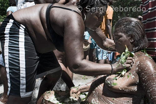 Indispensable part of the purification ritual is to immerse yourself in the waters of Saut d'Eau praying and rubbing with special herbs. The voodoo ritual demands that the person is immersed in the waters of Saut d'Eau naked or with as little clothing as possible. Most opt for swimwear, but some brave as this woman met with the rites to the letter.