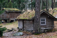 Seurasaari es una isla situada en la parte noroeste de Helsinki. La isla tiene dos atractivos: por un lado, la isla en sí es un lugar para disfrutar de la naturaleza, por otro, cuenta con un museo al aire libre de edificios de los siglos XVIII y XIX. A la isla se puede llegar en autobús (final de la línea 24) o dando un paseo bordeando la costa. El inicio de la línea de autobús está junto a Stockmann. Para acceder a la isla se debe hacer a través de un puente. Como curiosidad, sólo se puede entrar a la isla a pie, ya que no están permitidos los coches, los autobuses ni las bicicletas. 