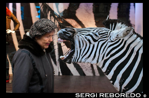 Helsinki. Una mujer pasa junto al escaparate del famoso centro comercial Sotkmann. El centro de la ciudad alberga algunas tiendas famosas y excelentes centros comerciales, incluyendo la moda de diseño de Stockmann y la Moomin Shop, centro oficial de los objetos Moomin. El diseño interior y la moda nórdicos son la mayor atracción para los visitantes de Helsinki, pero merece la pena visitar algo fuera de las rutas más transitadas: encontrará gangas en la Plaza del Mercado, en Kaartinkaupunki o en el Mercado de Hakaniemi, en Kallio. Stockmann es un centro comercial de la capital de Finlandia, Helsinki donde uno podrá encontrar todo lo que se proponga encontrar y comprar. Hay sieta grandes shoppings de la marca Stockmann en el país, pero el más grande se encuentra en esta que es la ciudad más grande. El edificio es hermoso y muy moderno. Tiene siete altos pisos llenos de locales y negocios que le ofrecen al cliente una variedad increíble en artículos de ropa, belleza, cosmética, zapatería, joyería e incluso hasta en productos alimenticios, ya que este shopping también cuenta con un supermercado en su interior.   Ubicado en el centro mismo de la ciudad, este centro comercial es visitado por los turistas los días de lluvia o cuando quieren encontrar un lindo souvenir para comprar y luego llevar a casa de regalo cuando vuelvan de las vacaciones.   El buen gusto de la decoración del shopping hace la diferencia con el resto de los centros comerciales de la ciudad. El ambiente es relajado y muy cómodo, además de amplio. 