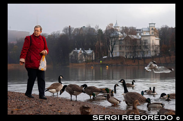 Una anciana da de comer a los patos que viven en la Bahía de Töölönlahti.  Töölö Bay y sus alrededores constituyen uno de los lugares que más se habla e importante de Finlandia. Algunas de las principales atracciones de la ciudad y los parques asombrosamente hermosas fusión aquí para crear un paisaje encantador. Si usted da un paseo por la bahía de derecha carretera Linnunlauluntie por las vías del tren, la primera vista que se ve es en las antiguas villas Linnunlaulu. Línea romántica casas de madera por las calles y un camino arenoso que conduce a un parque. A la derecha, es Helsinginkatu calle, al otro lado de la cual es el Winter Garden City. Disfrute de la vista de la fuente en la bahía, y la Casa de la Ópera y Finlandia Hall en el otro lado, en el magnífico Parque Hesperia. 