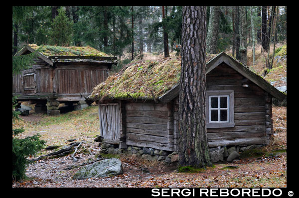 Seurasaari es una isla situada en la parte noroeste de Helsinki. La isla tiene dos atractivos: por un lado, la isla en sí es un lugar para disfrutar de la naturaleza, por otro, cuenta con un museo al aire libre de edificios de los siglos XVIII y XIX. A la isla se puede llegar en autobús (final de la línea 24) o dando un paseo bordeando la costa. El inicio de la línea de autobús está junto a Stockmann. Para acceder a la isla se debe hacer a través de un puente. Como curiosidad, sólo se puede entrar a la isla a pie, ya que no están permitidos los coches, los autobuses ni las bicicletas. La isla en sí tiene un gran encanto, ya que es un inmenso bosque en el que además puedes asomarte al mar y admirar sus espectaculares vistas e, incluso, darte un baño en la playa. Además, cuenta con todo tipo de servicios, como puestos de comida, restaurante o barbacoa para los cocinitas. La isla posee una gran riqueza de flora y fauna. Las especies de flores y aves que te vas encontrando por el camino son muy variadas. Además, hay unos compañeros de viaje de lo más simpáticos: no te marcharás de la isla sin encontrarte con una o varias ardillas. Por otro lado, está el museo de casas de madera. Una gran colección de edificios de madera traídos de diferentes partes del país te muestran la vida rural en tiempos pasados. La visita a los exteriores de los edificios es gratuita, mientras que el precio para entrar en los mismos es de 6€. Las casas son muy curiosas. Están las típicas viviendas, la iglesia, el molino... Pero también hay otras más peculiares, como las cabañas alargadas en las que se guardan las enormes canoas, o las casetas elevadas donde se guardaba la carne a salvo de los osos y lobos del lugar. Ah! Y no olvidarnos de los almacenes donde se guardaban las carretas y los trineos. 