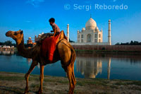 camells i un nen indi al costat del riu al Taj Mahal a Agra. Un nen indi amb els seus passejos en camell a la vora del riu Yamuna al Taj Mahal al fons. Visitar el destí més famós de l'Índia, el Taj Mahal a Agra, Uttar Pradesh. El Taj Mahal va ser encarregat per Shah Jahan com un mausoleu per a la seva tercera esposa, que va morir en 1631. Iniciat el 1632 i completat el 1653, el Taj Mahal és un Patrimoni de la Humanitat i considerada una de les vuit meravelles del món.