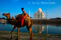 camellos y un niño indio junto al río en el Taj Mahal en Agra. Un niño indio con sus paseos en camello a orillas del río Yamuna en el Taj Mahal en el fondo. Visitar el destino más famoso de la India, el Taj Mahal en Agra, Uttar Pradesh. El Taj Mahal fue encargado por Shah Jahan como un mausoleo para su tercera esposa, que murió en 1631. Iniciado en 1632 y completado en 1653, el Taj Mahal es un Patrimonio de la Humanidad y considerada una de las ocho maravillas del mundo. 