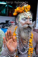 Varanasi sadhu. A més d'albergar les festes religioses, Varanasi és la llar d'una gran concentració dels sadhus. Sadhus són monjos hindús que renunciïn als plaers més sensuals. Tradicionalment viuen vides solitàries, sempre en moviment. Són propietaris de només el que porten i subsisteixen d'almoines. Són fàcilment identificables per les seves llargues barbes i trenes que es nuen en bollos grans. Alguns vestits desgast, mentre que altres fan servir només un tapall o anar completament nu. sadhus Shiva portar els emblemes de Shiva: el trident, la doble cara del tambor, i el collaret de llavors. Alguns frotis dels seus cossos amb cendra per simbolitzar el paper de Shiva com el Destructor, que redueix tot a pols. En el front, la majoria dels sadhus pintar un tika - un símbol que representa la seva afiliació secta. A imitació de Shiva; sadhus que utilitzen molts Bhang per impulsar i aconseguir la meditació transcendental states.Bhang es ven en botigues per tota la ciutat vella de Varanasi, la majoria són, de fet, res més que barraques de fusta, encara que molts diuen ser oficials "del govern bhang botigues". Poden ser difícils de trobar ja que no hi ha senyals de trànsit i els cotxes no a l'antiga ciutat-la windingpassages són massa estretes. A més, aquests passatges es ruixen amb escales, corbes tancades, caigudes sobtades, i un embull de barraques de fusta. Durant el dia la ciutat és menys d'encant. Brutícia a la pantalla completa. Merda de vaca, merda de gos, pellets de cabra, i es troben en les piles d'excrements humans en els senders. L'orina s'acumula a les piscines. Escombraries, que conté els aliments podrits, plàstic, paper, i sobres de la taula s'amunteguen als carrers també. Les vaques i les cabres s'alimenten de les escombraries. Les rates s'alimenten de les escombraries. Els gossos i els gats s'alimenten de les rates. La ciutat té una olor acre. Una combinació de merda, orina, deixalles en descomposició, garlandes de flors; inscence, i el fum de les pires funeràries. Les olors tenen força de caiguda. La ciutat és molt més atractiu en la nit. Brutícia s'amaga en la foscor com la fluència ombres per omplir cada racó, cada carreró, cada torn. És, "donin sa profunda de les tenebres interromput per les piscines de la llum desmanegat homes amb camises de seda s'amunteguen a les vores de les ombres, fumant cigarrets - murmurant en veu baixa gossos crit de sobte en la distància, a continuació, camí lliure per passatges perduts i ara ... a continuació, un toc de campanes o el brunzit de cantar per glopades l'aire .... després el silenci una vegada més. sadhus Bhang banyada per seure amb les cames creuades pel riu. "
