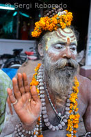 Varanasi sadhu. In addition to hosting religious festivals; Varanasi is home to a large concentration of sadhus. Sadhus are Hindu monks who renounce most sensual pleasures. Traditionally they live solitary lives; always on the move. They own only what they carry and subsist on alms. They are easily identified by their long beards and dreadlocks which are knotted into huge buns. Some wear robes; while others wear only a loincloth or go completely naked. Shiva sadhus bear the emblems of Shiva: the trident; the two-sided drum; and the necklace of seeds. Some smear their bodies with ash to symbolize Shiva’s role as the Destroyer who reduces everything to dust. On their foreheads; most sadhus paint a tika – a symbol that represents their sect affiliation. In imitation of Shiva; many sadhus use Bhang to boost meditation and achieve transcendental states.Bhang is sold in shops throughout the old city of Varanasi; most are; in fact; nothing more than wooden shacks; though many claim to be official “government bhang shops”. They can be difficult to find as there are no street signs and no cars in the old city- the windingpassages are far too narrow. Furthermore; these passages are sprinkled with staircases; sharp turns; sudden drops; and a tangle of wooden shacks. By day the city is less than charming. Filth is on full display. Cow shit; dog shit; goat pellets; and human excrement lie in piles on the footpaths. Urine collects in pools. Garbage; including rotten food; plastic; paper; and table scraps are piled in the alleys as well. Cows and goats feed on the garbage. Rats feed on the garbage. Dogs and cats feed on the rats. The city has a pungent smell. A combination of shit; urine; decomposing waste; flower garlands; inscence; and smoke from the funeral pyres. The odors have knockdown strength. The city is far more alluring at night. Filth is hidden in darkness as shadows creep to fill every corner; every alley; every turn. It; "s a deep den of darkness punctuated by pools of light. Gangly men in silk shirts huddle on the shadows’ edges, smoking cigarettes – murmuring in low voices. Dogs shriek suddenly in the distance, then trail off to lost passageways. Now and then a splash of bells or the drone of chanting whiffs by on the air…. then silence once again. Bhang-drenched sadhus sit crosslegged by the riverside." 