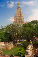 Templo Mahabodhi en Bodhgaya. El Templo Mahabodhi complejo es uno de los cuatro lugares sagrados relacionados con la vida de Buda, y en particular para el logro de la Iluminación. El primer templo fue construido por el emperador Asoka en el siglo 3 aC, y el templo actual data de los siglos quinto y sexto. Es uno de los primeros templos budistas construidos enteramente en ladrillo, aún en pie en la India, desde el último período de Gupta. El Templo Mahabodhi, uno de los pocos ejemplos sobrevivientes de las estructuras de ladrillo a principios de la India, ha tenido una influencia significativa en el desarrollo de la arquitectura de los siglos. balaustradas, y la columna conmemorativa. El templo actual es una de las estructuras más tempranas e imponente construida enteramente de ladrillo en el último período de Gupta. Las balaustradas de piedra esculpida son un buen ejemplo a principios de los relieves escultóricos de piedra. El complejo del templo tiene asociaciones directas con la vida de Buda (566 a 486 aC) como el lugar donde en 531 a. C. alcanzado el conocimiento supremo y perfecto mientras está sentado bajo el árbol Bodhi. Proporciona registros excepcionales para los eventos asociados con su vida y para el culto posterior; sobre todo porque el emperador Asoka hizo una peregrinación a este lugar alrededor de 260 a. C. y construyó el primer templo en el lugar del árbol de Bodhi. El Complejo Mahabodhi Temple se encuentra en el corazón de la ciudad de Bodh Gaya. El sitio está formado por el templo principal y seis lugares sagrados en una zona delimitada, y una séptima parte, el estanque de lotos, en las afueras del recinto hacia el sur. El más importante de los lugares sagrados es el gigante árbol de Bodhi (Ficus religiosa). Este árbol se encuentra al oeste del templo principal y se supone que es un descendiente directo del original árbol de Bodhi en virtud del cual el Buda pasó su primera semana, y donde tuvo su iluminación. Al norte de la ruta de acceso central, en una zona elevada, es la Chaitya Animeshlochan (sala de oración), donde el Buda se cree que han pasado la segunda semana. El Buda pasó la tercera semana caminar 18 pasos adelante y atrás en un área llamada Ratnachakrama (Enjoyada ambulatoria); que se encuentra cerca de la pared norte del templo principal. El lugar donde estuvo la Cuarta Semana se Ratnaghar Chaitya, ubicado al nor-este, cerca de la muralla. Inmediatamente después de los pasos de la entrada hacia el este por el camino central, hay un pilar que marca el sitio del Árbol Ajapala Nigrodh, bajo el cual Buda meditó durante su Semana de la Quinta; responder a las preguntas de los brahmanes. Pasó la Semana de la Sexta junto al estanque de lotos en el sur del recinto, y la VII Semana bajo el Árbol Rajyatana actualmente marcados por un árbol. El Templo Mayor se construye en el estilo clásico de la arquitectura del templo de la India. Tiene un sótano bajo con molduras decoradas con un diseño madreselva y gansos. Por encima de esta es una serie de nichos que contienen imágenes de Buda. Más arriba hay molduras y nichos chaitya, y entonces el shikhara curvilínea o torre del templo coronado por Amalaka y kalasha (elementos arquitectónicos de la tradición de los templos de la India). En las cuatro esquinas del parapeto del templo hay cuatro estatuas de Buda en las cámaras de pequeño santuario. Una pequeña torre está construida encima de cada uno de estos santuarios. El templo hace frente al este y se compone de un patio pequeño en el este con nichos a ambos lados que contiene estatuas de Buda. Al lado del árbol Bodhi hay un lugar con una estatua de Buda que se encuentra en la parte de la piedra arenisca pulida Vajrasana (Diamond Trono), originalmente instalado por el emperador Asoka para marcar el lugar donde el Buda se sentó y meditó. pilares de granito se han añadido a ampliar la zona en los siglos quinto a sexto antes de Cristo. Más arriba en la ruta central hacia el templo principal al sur se encuentra un pequeño santuario con un Buda de pie en la espalda y con las huellas (Padas) de Buda talladas en piedra negro, que data del siglo 3 aC, cuando el emperador Asoka declaró el budismo a ser la religión oficial del Estado. Más en el camino hacia el templo principal es un edificio de varias estatuas de Buda y los Bodhisattvas. Enfrente se encuentra un monumento a un Mahant hindú que había vivido en este sitio durante los siglos 15 y 16. Al sur de la ruta es un conjunto de stupas votivas construido por reyes, príncipes, nobles y laicos.