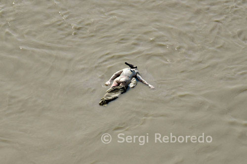 ÍNDIA CREUANT EL RIU GANGES Els nens, els sadhus (homes sants), i les dones embarassades són considerades tan pur que no necessita ser cremat per tal de purificar. Els leprosos no es cremen perquè la superstició diu que la lepra es van a l'aire. Així que totes aquestes persones tenen grans pedres lligades a ells i que s'aboquen al mig del riu. El gran riu sagrat Ganges, ple d'aigües residuals, deixalles i cadàvers, també conté un nombre incalculable de cadàvers lligats a pedres, i les cendres de tots aquells que es cremen en les seves costes. Varanasi, segons sembla, també té un mal element. En els albergs se suggereixen, sinó de tancar i bloquejar les portes, que es troba en un 10 o 11. Això té molt sentit perquè la ciutat té constants sortides de negre i és realment una ciutat enorme amb una increïble embolic de carrerons de nou. És tan fàcil perdre's en aquesta ciutat és aterridor. No hi ha carrers rectes. I quan la gent tracta d'ajudar a trobar en general acaba pitjor que si s'havia tractat només de resoldre vostè mateix. Ah, i després there 'de tots els traficants de drogues i delinqüents. Però això és només una nota al marge. Varanasi és un infern d'una ciutat. Jo realment ho vaig gaudir. Un lloc molt sagrat i espiritual. Un bon lloc per quedar-se una estona i aprendre. Si tingués més temps podria haver quedat més temps. 