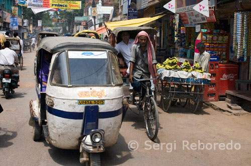 INDIA CROSSING THE RIVER GANGES Varanasi is the most chaotic city I have ever seen. Cows; bicycle rickshaws; autorickshaws; a bull; overflowing street markets and the occasional monkey all fight for their bit of space as they go about their day. In hindsight I'm really glad that I waited until the end of the trip to see Varanasi because I don't think I could have handled it when I first arrived. Dealing with the sheer mass of humanity and insanity in Varanasi without some prior experience in India would have been too much. Even with the chaos and confusion; I did enjoy exploring the buzzing streets and taking some portraits of the many interesting characters I came across. This photo gallery covers the highlights from several crazy days and nights in one of India's (and the world's) oldest and most sacred cities.