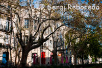 Casco antiguo de la ciudad de Montpellier. Visitas guiadas Montpellier guarda con recelo tesoros escondidos de incalculable valor. Para descubrirlos todos, la Oficina de Turismo propone todo un surtido de visitas guiadas: desde la visita del centro histrico (mircoles, sbados y domingos, y todos los das en verano) hasta diferentes visitas temticas que le permitirn descubrir la ciudad desde nuevas perspectivas. Entre estos temas, lo ms inslitos son la Facultad de Medicina, los palacetes particulares, los lutieres o los paseos vitcolas.