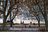 Jardines en la Plaza Royale du Peyrou. Arboleda en las afueras de la Ecusson (el nombre dado al centro histórico debido a su forma), la Promenade du Peyrou, expuso que contiene la estatua de Luis XIV a caballo, es uno de los lugares favoritos de la gente de Montpellier. El Arco del Triunfo y thechâteau d'eau (la torre de agua), se extienden hacia el acueducto y son modelos de los clásicos.