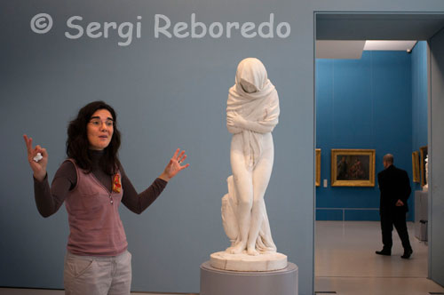 Guided tour at the Musée Fabre in Montpellier Agglomeration. Opened in 1828, the Fabre Museum is enriched with two other donations, brought Antoine Valedau Northern schools, Rubens, Steen, Ruisdael ... As Bourdon, Greuze, Girodet ... and then the patron Alfred Bruyas that brought the Corot , Millet, Courbet, Delacroix, David, Géricault, Ingres ... Restored and enlarged, is a twenty-first century museum has opened its doors in 2007. Equipped with new technology, provides a consistent path. The meeting rooms amenca fl painting and Dutch in the sixteenth and seventeenth centuries, Italian painting, the Renaissance and seventeenth-century French painting of the XVII and XVIII, XIX century modern art rooms with Cabanel, Courbet, Bazille, Jean Hugo, the twentieth century and contemporary Simon Hantai, Support-Surface movement (Support-Surface), François Morellet ...