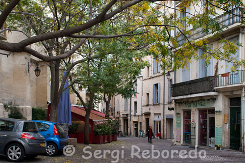 Ambient bohemi al casc antic de Montpeller. Gais i lesbianes: Li Cafè de la Mer, 5 Place Marché aux Fleurs (tramvia 1: parada Louis Blanc). Es tracta d'un dels locals preferits per la comunitat gai i lèsbica de Montpeller. És un bar amb terrassa exterior, que es converteix en un punt ideal de trobada per a un públic generalment universitari. Li Heaven, 1 Rue Delpech (tramvia 1: parada Louis Blanc). Situat just a la molt prop de l'anterior i bastant freqüentat a partir de les 20:00, generalment per gais i amics. Villa Rouge, Route de Palavas, Lattes (bus 32). Situat al sud de Montpeller i encara que no és estrictament gai, s'ha convertit en la discoteca de referència per a la comunitat LGTB. Un gran equip internacional de DJ i un potent joc de làsers converteix cada nit del cap de setmana en una gran festa. Platges: Els 12 km que separen Montpeller de Palavas-les-Flots solen ser recorreguts per molts urbanites amb bicicleta. Palavas és un centre turístic, amb escola de 'kitesurf' inclòs, format per una estreta franja de terra situada entre el mar i els pantans Étang de perols, Étang de l'Arnel i Étang du Prévost, on nien nombroses aus aquàtiques. En direcció nord per la mateixa franja de terra s'obren les turístiques platges de Carnon i Grande-Motte, de fina sorra blanca. Situada a 10 km al sud-oest de Montpeller, Villeneuve-lès-Maguelone ofereix als amants de la tranquil · litat 3.000 hectàrees de naturalesa preservada