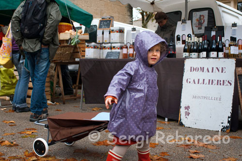 Una niña ayuda a sus padres en la compra en el mercado de los sábados por la mañana en el Boulevard Arceaux.  Los restaurantes se caracterizan por las especialidades de la variedad de productos que se encuentran en Languedoc, evocando la buena cocina francesa, espléndidos vinos y delicioso marisco que reflejan las estaciones. Siendo Languedoc la región más amplia del mundo en cosecha de vino, hay unos vinos excelentes para descubrir y probar. Estos restaurantes se encuentran en el centro histórico de la ciudad, en la afueras de Montpellier y a lo largo de la costa. En Montpellier, puede probar productos locales, quesos y vinos en el mercado de la mañana de Les Arceaux bajo el acueducto. Durante la primavera y el verano hay un gran número de eventos tradicionales, culturales y artísticos organizados en Montpellier y otras ciudades de la región. A lo largo del año, hay espectáculos, ferias comerciales, partidos, conciertos y exhibiciones. El verano ofrece la temporada de festivales, tales como el festival de radio Francia en Montpellier, el festival de Avignon, las ferias (celebraciones españolas, por ejemplo los corridas de toros, etc...) de Nîmes y Béziers y los espectáculos de películas al aire libre. Montpellier tiene un clima excelente con veranos que duran hasta finales de octubre. Mientras durante la época de navidad tienen lugar muchos de los eventos culturales (f.i. mercados tradicionales, juegos de navidad provenzales, corales, exposiciones de figuras de navidad, etc…). Con 60.000 estudiantes de sus 350.000 habitantes, Montpellier es la ciudad de estudiantes más popular. Es la casa de una de las escuelas de medicina más antiguas de Francia, que data del siglo XIII, así como la vida nocturna más vibrante en el Midi. Con muchos pubs de música para elegir, y unas treinta discotecas, aquí se pueden encontrar las preferencias musicales en lugares muy frecuentados. Hay también numerosos cines, teatros, dos óperas y cuatro salas de conciertos en la ciudad para favorecer otros intereses de entretenimiento.