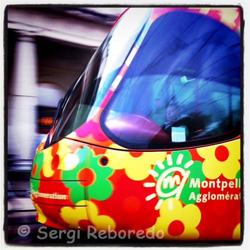 Tranvia pintado con flores en Montpellier.