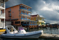 Panama Bocas del Toro seafront. Panama. Shoreline of Bocas Town with hotels, restaurants, and water taxis, Bocas del Toro, Panama. The Archipelago of Bocas del Toro is home to a semi-permanent population of Bottlenose dolphins. Its calm waters and abundance of small fish, crustaceans and squid seem to make the perfect grounds for the young ones' first stages of life. Calves and juveniles can be frequently spotted with their mothers, as well as small pods of 5 or 6 dolphins.