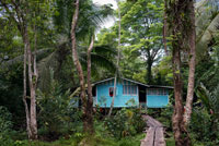 Casa En El Ngobe Bugle Indian Village Of Salt Creek Cerca de Bocas Del Toro Panamá. Salt Creek (en español: Quebrada Sal) es un pueblo Ngöbe Buglé se encuentra en el extremo sureste de la isla de Bastimentos, en Bocas del Toro Archipelago, Provincia y Distrito de Panamá. La comunidad se compone de unas 60 casas, una escuela primaria, artesanías y tiendas en general. Los aldeanos dependen principalmente de sus canoas para la pesca y el transporte, aunque el pueblo se está desarrollando lentamente junto con todo el archipiélago.