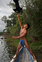 Spider monkey at Villagers of the Native Indian Embera Tribe, Embera Village, Panama. Panama Embera people Indian Village Indigenous Indio indios natives Native americans locals local Parque National Chagres. Embera Drua. Embera Drua is located on the Upper Chagres River. A dam built on the river in 1924 produced Lake Alajuela, the main water supply to the Panama Canal. The village is four miles upriver from the lake, and encircled by a 129.000 hectare National Park of primary tropical rainforest. Lake Alajuela can be accessed by bus and mini-van from the city of Panama. It lies an hour from the city, close to the town of Las Cumbres. 