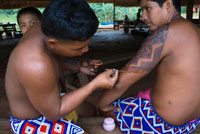 Embera Nadiu fent un tatuatge en el llogaret dels indis Embera Tribu, Embera Village, Panamà. La gent de Panamà Embera Indian Village Indígena Indi Indis nadius americans nadius vilatans locals Chagres Nacionals Parc. Embera Drua. Embera Drua es troba a la conca alta del riu Chagres. Una presa construïda sobre el riu en 1924 va produir el Llac Alajuela, el subministrament principal d'aigua per al Canal de Panamà. El poble està a quatre quilòmetres riu amunt des del llac, i envoltada per un parc nacional de 129.000 hectàrees de bosc tropical primari.