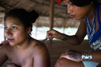 Les dones embera nativa fent un tatuatge al poble dels indis Emberá Tribu, Embera Village, Panamà. La gent de Panamà Embera Indian Village Indígena Indi Indis nadius americans nadius vilatans locals Chagres Nacionals Parc. Embera Drua. Embera Drua es troba a la conca alta del riu Chagres. Una presa construïda sobre el riu en 1924 va produir el Llac Alajuela, el subministrament principal d'aigua per al Canal de Panamà. El poble està a quatre quilòmetres riu amunt des del llac, i envoltada per un parc nacional de 129.000 hectàrees de bosc tropical primari. Llac Alajuela es pot accedir amb autobús i mini-van de la ciutat de Panamà. Es troba a una hora de la ciutat, prop de la localitat de Las Cumbres. Des d'un lloc anomenat Port