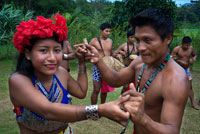 Música i ball al poble de la Native Indian Tribe Embera, Embera Village, Panamà. La gent de Panamà Embera Indian Village Indígena Indi Indis nadius americans nadius vilatans locals Chagres Nacionals Parc. Embera Drua. Embera Drua es troba a la conca alta del riu Chagres. Una presa construïda sobre el riu en 1924 va produir el Llac Alajuela, el subministrament principal d'aigua per al Canal de Panamà. El poble està a quatre quilòmetres riu amunt des del llac, i envoltada per un parc nacional de 129.000 hectàrees de bosc tropical primari. Llac Alajuela es pot accedir amb autobús i mini-van de la ciutat de Panamà. Es troba a una hora de la ciutat, prop de la localitat de Las Cumbres.