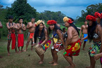 Música y baile en el pueblo de la Native Indian Tribe Embera, Embera Village, Panamá. La gente de Panamá Embera Indian Village Indígena Indio Indios nativos americanos nativos lugareños locales Chagres Nacionales Parque. Embera Drua. Embera Drua se encuentra en la cuenca alta del río Chagres. Una presa construida sobre el río en 1924 produjo el Lago Alajuela, el suministro principal de agua para el Canal de Panamá. El pueblo está a cuatro kilómetros río arriba desde el lago, y rodeada por un parque nacional de 129.000 hectáreas de bosque tropical primario. Lago Alajuela se puede acceder en autobús y mini-van de la ciudad de Panamá. Se encuentra a una hora de la ciudad, cerca de la localidad de Las Cumbres. Desde un lugar llamado Puerto El Corotu