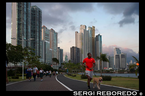 Hombre que corre con el perro en la Avenida Balboa carretera rascacielos malecón nuevo. Skyline, Ciudad de Panamá, Panamá, América Central. Cinta Costera Océano Cinta Costera del Pacífico Bahía de Panamá malecón parque lineal rascacielos moderno. Cinta Costera (Cinta Costera), Ciudad de Panamá, Panamá. Ciudad de Panamá es una ciudad en América Central, donde la congestión ha alcanzado un punto crítico. La ciudad está pasando por un período sin precedentes de estabilidad y las inversiones y hay gran cantidad de fondos públicos para proyectos de mejora de la infraestructura. Uno de los más recientes proyectos de mejora de carreteras es la Cinta Costera o Cinta Costera (traducción significa literalmente "cinta costera") del proyecto. Este proyecto tiene la intención de descongestionar la red vial de la ciudad de Panamá, proporcionando una ruta de circunvalación pasado de la ciudad. La Avenida Balboa acepta actualmente la peor parte de este tráfico con 72.000 vehículos por día que pasa a lo largo de ella. La nueva Cinta Costera alivia esta congestión y también como parte del proyecto proporciona alrededor de 25 hectáreas de zona verde para el uso de los residentes de esta zona de la ciudad. Esta lista de los edificios más altos en la ciudad de Panamá ocupa el rascacielos en la ciudad de Panamá por la altura. El edificio terminado más alto en la ciudad de Panamá no es el Trump Ocean Club International Hotel and Tower, que se encuentra 264 m (866 pies) de altura, como lo demuestra Aeronautica Civil de terceros registros de medición de Panamá. Durante varios años, el horizonte de la ciudad de Panamá se mantuvo prácticamente sin cambios, con sólo cuatro edificios superior a 150 m (492 pies). A partir de la década de 2000, la ciudad experimentó un auge de la construcción grande, con nuevos edificios se levanta por toda la ciudad. El boom continúa en la actualidad, con más de 150 rascacielos en construcción y varios edificios supertall previstas para la construcción. Además de crecer hacia fuera, Ciudad de Panamá creció, con dos nuevos edificios más altos desde 2005 se cancelaron todos los proyectos supertall (Ice Tower, Palacio de la Bahía, y Torre Generali) o están en espera (Faros de Panamá, Torre Central).