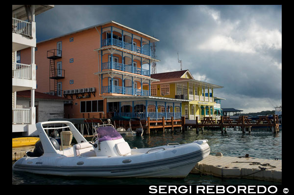 Primera línea de playa Panamá Bocas del Toro. Panamá. Shoreline de Pueblo de Bocas con hoteles, restaurantes, y los taxis acuáticos, Bocas del Toro, Panamá. El Archipiélago de Bocas del Toro es el hogar de una población semi-permanente de delfines nariz de botella. Sus tranquilas aguas y la abundancia de pequeños peces, crustáceos y calamares parecen hacer los motivos perfectos para los primeros estadios de la vida de los jóvenes queridos. Terneros y juveniles se pueden observar con frecuencia con sus madres, así como vainas pequeñas de 5 o 6 delfines. Los delfines de Bocas del Toro parecen tener una especial predilección por la bahía conocida localmente como Laguna Bocatorito (Bahía de los Delfines), que está a unos 12 km al sur de la ciudad de Bocas (aproximadamente 15 - 20 minutos en barco). Esta bahía está bordeada por el lado este de la isla de Cristobal y una península de forma irregular desde el continente. Un laberinto de canales poco profundos formados por manglares pantallas de su entrada norte, ayudando a que sea una especie de acuario natural gigante, a seis kilómetros de ancho en su parte más ancha.