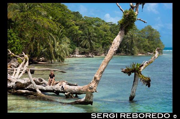 Platja de l'illa presa de la superfície de l'aigua amb una exuberant vegetació tropical, Bocas del Toro, el mar Carib, Cayos Sabatilles, Panamà. Platja de l'illa tropical amb l'arbre que s'inclina de coco i un vaixell, el mar Carib, Cayos Sabatilles. Cayos Sabatilles Aquestes dues belles illes estan situades en una plataforma de corall que es defineix, cap al mar obert, per les rompents que es formen com les ones trenquen en l'escull. Cayos Sabatilles, es troben dins de l'illa Bastimentos Parc Nacional Marí. Són famosos per les seves belles platges, aigües cristal · lines, esculls de coral i els boscos petits però ombrejats. Ells porten el nom d'una fruita: la zapatila. L'illa occidental, Sabatilles Menor, és la base ocasional de científics, investigadors de la tortuga marina verda. El llaüt i les tortugues carey també vénen a posar els seus ous, en temporada, en aquestes platges. Per Sabatilla Major es troba el refugi Park Rangers, l'única estada en les illes, administrades per INRENARE, l'Agència Governamental de Protecció dels Recursos Naturals. Si t'agrada prendre el sol aquest és el lloc per estar, amb les seves platges de sorra blanca i aigües color turquesa. Per escapar de la calor, el bosc proper proporcionarà ombra. Li agrada nedar, snorkel o busseig? Bé, Sabatilles és perfecte per a tots ells. El millor del món submarí de Sabatilles està a 300 m de la platja, cap al territori continental, les illes de corall. El lloc és poc profund, amb belles formacions de corall, particularment bones per practicar el esnórquel i el busseig. Allà, en no més de 20 peus d'aigua, es pot gaudir de diversos illots de corall sota l'aigua, refugi per al pagre, peix àngel, mers, peixos lloro i la papallona. A les llagostes esquerdes, crancs, morenes i un nombre infinit de petits invertebrats marins amaguen. Si desitja més d'un escull prou, proveu darrere de les rompents. Si els permisos de la mar, es troba una paret formada pels esculls, que conté petites coves, fins a 50 metres de profunditat. Un passeig pel bosc és també una de les activitats que els visitants els agrada gaudir. Com es pot veure, Cayos Sabatilles poden satisfer els gustos de tots. Per visitar en contacte amb qualsevol operador turístic i en 45 minuts, s'arriba a aquest paradís. Li recomanem allotjar durant tot el dia, però, si us plau, porti el seu esmorzar, refrigeris, protecció solar i, almenys, equip de snorkel.