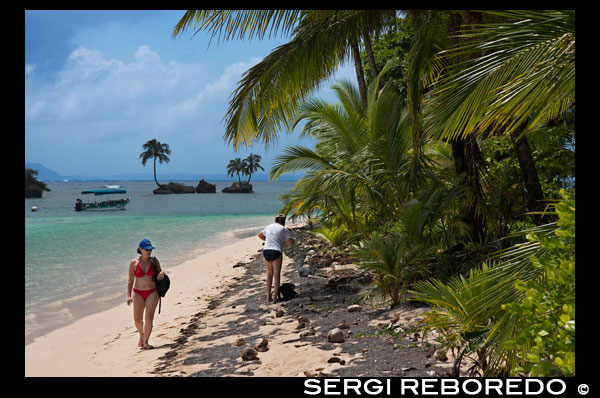 Playa de la isla tomada de la superficie del agua con una exuberante vegetación tropical, Bocas del Toro, el mar Caribe, Cayos Zapatillas, Panamá. Playa de la isla tropical con el árbol que se inclina de coco y un barco, el mar Caribe, Cayos Zapatillas. Cayos Zapatillas Estas dos hermosas islas están situadas en una plataforma de coral que se define, hacia el mar abierto, por las rompientes que se forman como las olas rompen en el arrecife. Cayos Zapatillas, se encuentran dentro de la Isla Bastimentos Parque Nacional Marino. Son famosos por sus hermosas playas, aguas cristalinas, arrecifes de coral y los bosques pequeños pero sombreados. Ellos llevan el nombre de una fruta: la zapatila. La isla occidental, Zapatillas Menor, es la base ocasional de científicos, investigadores de la tortuga marina verde. El laúd y las tortugas carey también vienen a poner sus huevos, en temporada, en estas playas. Por Zapatilla Mayor se encuentra el refugio Park Rangers, la única morada en las islas, administradas por INRENARE, la Agencia Gubernamental de Protección de los Recursos Naturales. Si te gusta tomar el sol este es el lugar para estar, con sus playas de arena blanca y aguas color turquesa. Para escapar del calor, el bosque cercano proporcionará sombra. ¿Le gusta nadar, snorkel o buceo? Bueno, Zapatillas es perfecto para todos ellos. Lo mejor del mundo submarino de Zapatillas está a 300 metros de la playa, hacia el territorio continental, las islas de coral. El lugar es poco profundo, con hermosas formaciones de coral, particularmente buenas para practicar el esnórquel y el buceo. Allí, en no más de 20 pies de agua, se puede disfrutar de varios islotes de coral bajo el agua, refugio para el pargo, pez ángel, meros, peces loro y la mariposa. En las langostas grietas, cangrejos, morenas y un número infinito de pequeños invertebrados marinos esconden. Si desea más de un arrecife bastante, intente detrás de las rompientes. Si los permisos del mar, se encuentra una pared formada por los arrecifes, que contiene pequeñas cuevas, hasta 50 metros de profundidad. Un paseo por el bosque es también una de las actividades que los visitantes les gusta disfrutar. Como se puede ver, Cayos Zapatillas pueden satisfacer los gustos de todos. Para visitar en contacto con cualquier operador turístico y en 45 minutos, se llega a este paraíso. Le recomendamos alojarse durante todo el día, pero, por favor, traiga su almuerzo, refrigerios, protección solar y, al menos, equipo de snorkel.