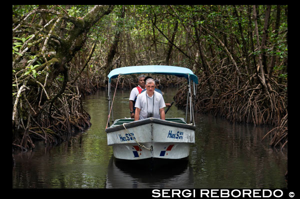 One of the local boats used by the Ngobe Indians as their main form of transport, sheltered under a makeshift lean-to. Channel to entrance at The Ngobe Bugle Indian Village Of Salt Creek Near Bocas Del Toro Panama. Salt Creek (in Spanish: Quebrada Sal) is a Ngöbe Buglé village located on the southeastern end of Bastimentos island, in the Bocas del Toro Archipelago, Province and District of Panama.  The community consists of about 60 houses, an elementary school, handcrafts and general stores. The villagers depend mostly on their canoes for fishing and transportation although the village is slowly developing together with the whole archipelago.  Between the Caribbean Sea, with its mangroves, coral reefs, and paradisiacal islands, and the dense humid tropical forest of Bastimentos Island, lies the Ngobe community known as Salt Creek (Quebrada Sal).  Here, the local organization ALIATUR (Salt Creek Tourism Alliance) has created a project so that visitors to the Bocas del Toro Archipelago can get to know the culture of this indigenous community, its artisan crafts, its dances, and its stories.  Actions taken to promote environmental or social sustainability Four hiking trails in the surrounding forests allow the tourist to appreciate the rich fauna and flora of the region. Lodging and typical local food are offered for whoever wishes to visit for one or more days in the community.  In case this isn´t enough, the community´s proximity to the Bastimentos National Marine Park allows tourists to pay a quick visit to the marvelous Zapatilla Cays and to enjoy its beaches, coral reefs, and trail.