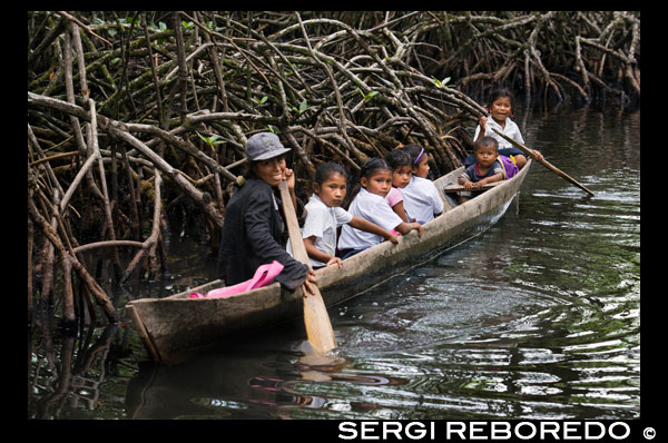 One of the local boats used by the Ngobe Indians as their main form of transport, sheltered under a makeshift lean-to. Channel to entrance at The Ngobe Bugle Indian Village Of Salt Creek Near Bocas Del Toro Panama. Salt Creek (in Spanish: Quebrada Sal) is a Ngöbe Buglé village located on the southeastern end of Bastimentos island, in the Bocas del Toro Archipelago, Province and District of Panama.  The community consists of about 60 houses, an elementary school, handcrafts and general stores. The villagers depend mostly on their canoes for fishing and transportation although the village is slowly developing together with the whole archipelago.  Between the Caribbean Sea, with its mangroves, coral reefs, and paradisiacal islands, and the dense humid tropical forest of Bastimentos Island, lies the Ngobe community known as Salt Creek (Quebrada Sal).  Here, the local organization ALIATUR (Salt Creek Tourism Alliance) has created a project so that visitors to the Bocas del Toro Archipelago can get to know the culture of this indigenous community, its artisan crafts, its dances, and its stories.  Actions taken to promote environmental or social sustainability Four hiking trails in the surrounding forests allow the tourist to appreciate the rich fauna and flora of the region. Lodging and typical local food are offered for whoever wishes to visit for one or more days in the community.  In case this isn´t enough, the community´s proximity to the Bastimentos National Marine Park allows tourists to pay a quick visit to the marvelous Zapatilla Cays and to enjoy its beaches, coral reefs, and trail. 